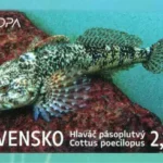 EUROPA 2024: Fauna i flora tatrzańskich jezior