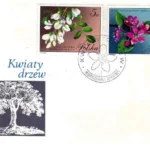 Kwiaty drzew