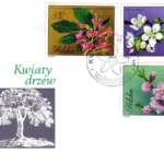 Kwiaty drzew