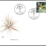 Ogród Botaniczny w Brnie