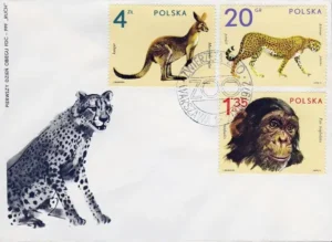 Zwierzęta z ogrodów zoologicznych