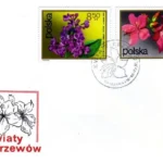 Kwiaty krzewów