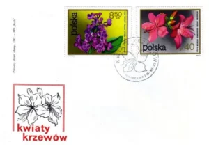 Kwiaty krzewów