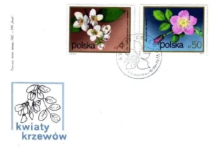 Kwiaty krzewów