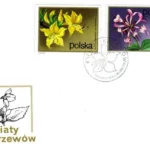 Kwiaty krzewów