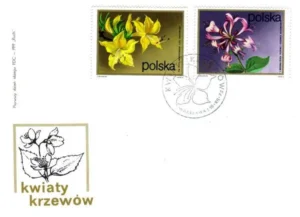 Kwiaty krzewów