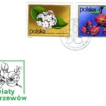 Kwiaty krzewów