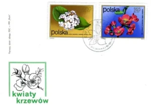 Kwiaty krzewów