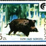 Zwierzyna łowna