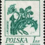 Rośliny w twórczości Stanisława Wyspiańskiego
