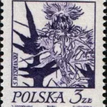Rośliny w twórczości Stanisława Wyspiańskiego