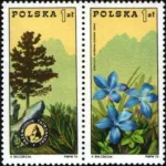 100. rocznica zorganizowania przewodnictwa górskiego w Polsce