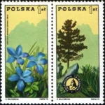 100. rocznica zorganizowania przewodnictwa górskiego w Polsce