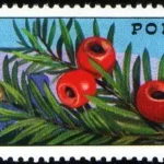 100. rocznica zorganizowania przewodnictwa górskiego w Polsce