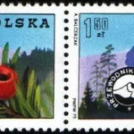 100. rocznica zorganizowania przewodnictwa górskiego w Polsce