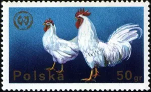 XXVI Zjazd Europejskiej Federacji Zootechnicznej w Warszawie
