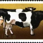 XXVI Zjazd Europejskiej Federacji Zootechnicznej w Warszawie