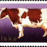 XXVI Zjazd Europejskiej Federacji Zootechnicznej w Warszawie