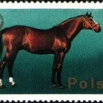 XXVI Zjazd Europejskiej Federacji Zootechnicznej w Warszawie