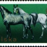 XXVI Zjazd Europejskiej Federacji Zootechnicznej w Warszawie