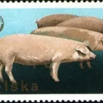 XXVI Zjazd Europejskiej Federacji Zootechnicznej w Warszawie
