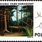 Parki Narodowe