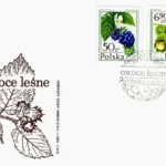 Owoce leśne