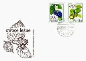 Owoce leśne