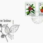 Owoce leśne