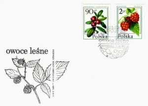 Owoce leśne