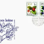 Owoce leśne