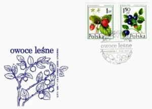 Owoce leśne