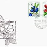 Owoce leśne