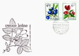 Owoce leśne