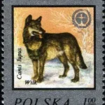 Ochrona środowiska - Ginące zwierzęta