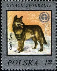 Ochrona środowiska - Ginące zwierzęta