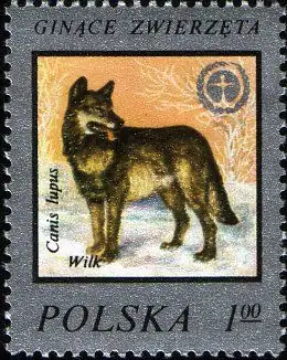 Ochrona środowiska - Ginące zwierzęta
