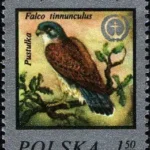 Ochrona środowiska - Ginące zwierzęta