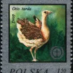 Ochrona środowiska - Ginące zwierzęta