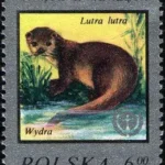 Ochrona środowiska - Ginące zwierzęta