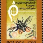 IV Międzynarodowy Kongres Parazytologów