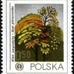Ochrona środowiska - Drzewa