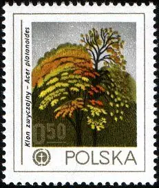 Ochrona środowiska - Drzewa
