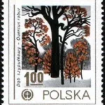 Ochrona środowiska - Drzewa