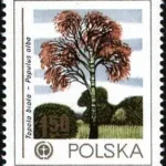 Ochrona środowiska - Drzewa