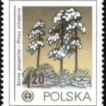 Ochrona środowiska - Drzewa