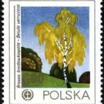 Ochrona środowiska - Drzewa