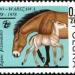 50-lecie Warszawskiego Ogrodu Zoologicznego