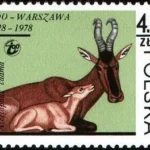 50-lecie Warszawskiego Ogrodu Zoologicznego