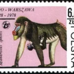 50-lecie Warszawskiego Ogrodu Zoologicznego